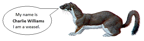 weasel